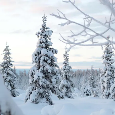 Luxury Utsun Otso Inc Hot Tub Вилла *