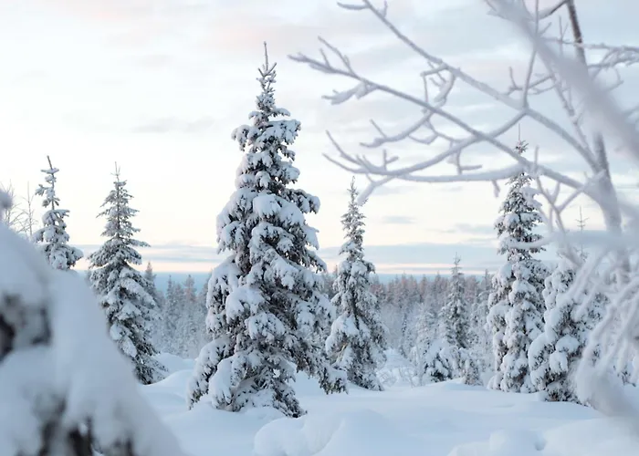 Luxury Utsun Otso Inc Hot Tub Willa *