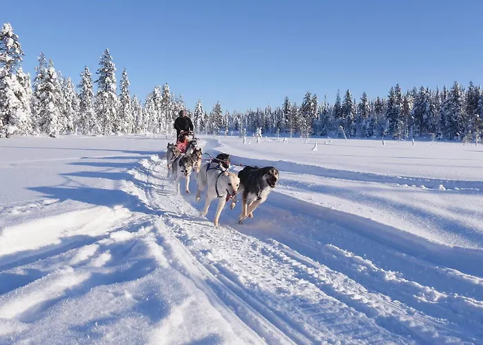 Luxury Utsun Otso Inc Hot Tub Willa *